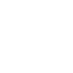 IV_Icons_Quality of Life